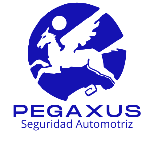 Grabado de patente - Pegaxus - Wisecity Chile