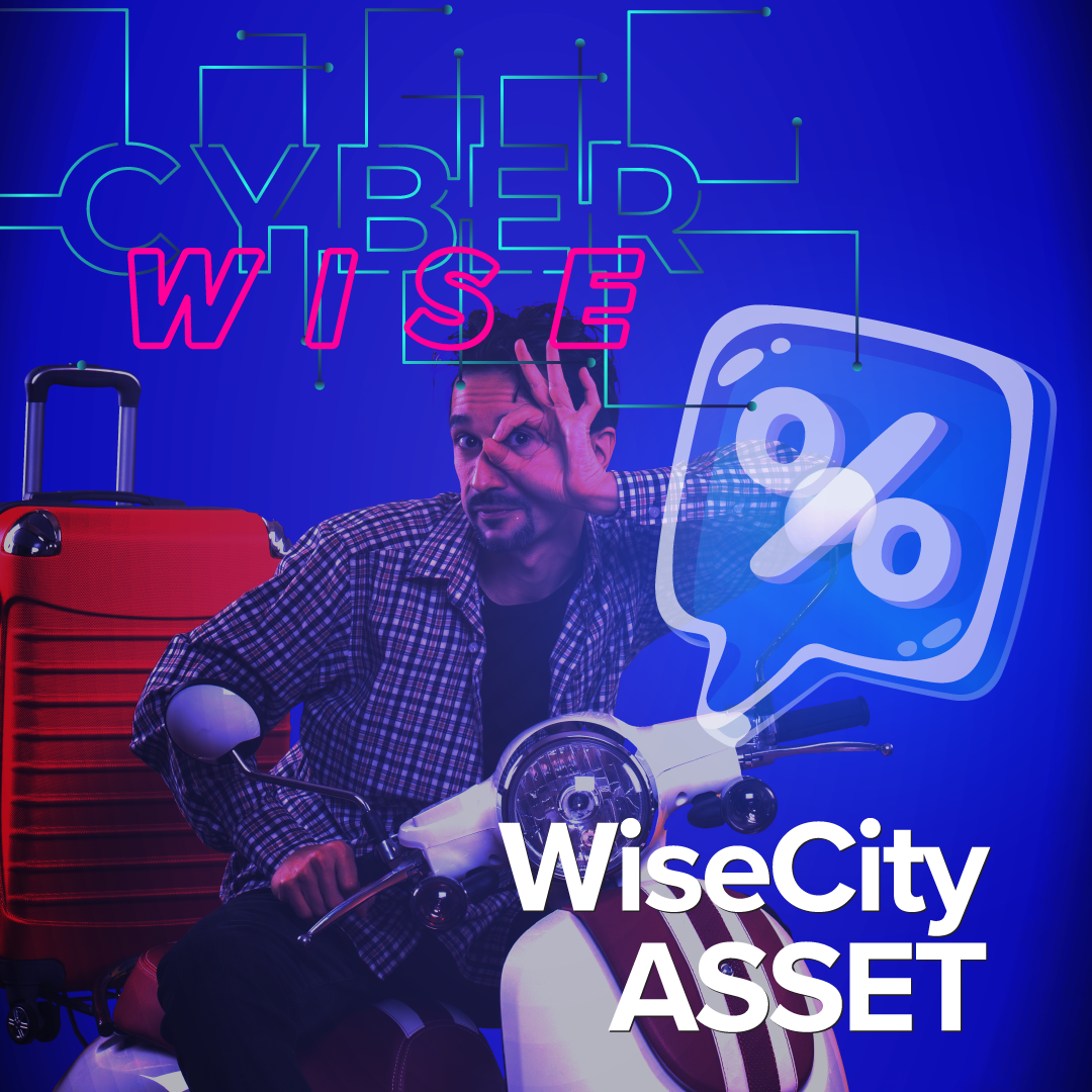 WiseCyber Asset